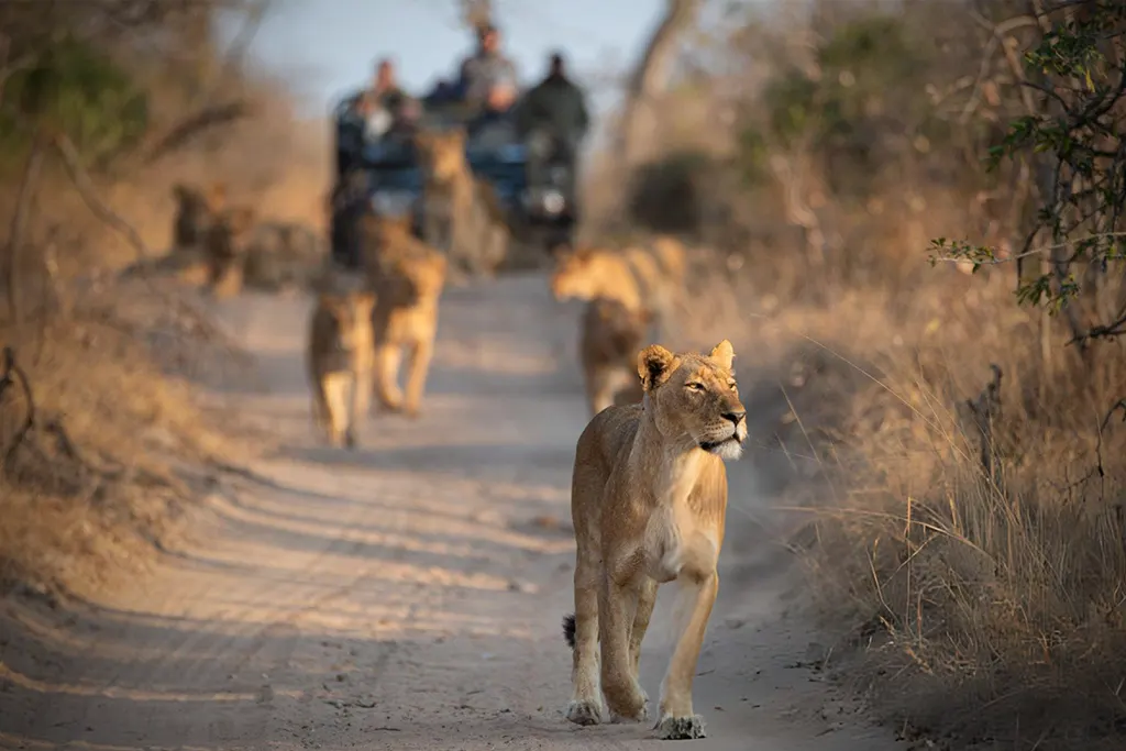 ultimate-south-africa